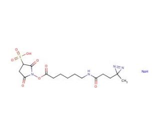 Sulfo-LC-SDA (Sulfo-NHS-LC-Diazirine) - chemical structure image