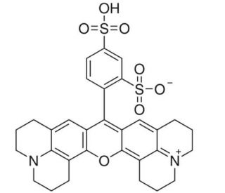 Sulforhodamine 101 (CAS 60311-02-6) - chemical structure image