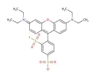 Sulforhodamine B 2-acid fluoride (CAS 98806-82-7) - chemical structure image