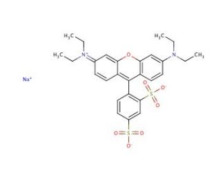 Sulforhodamine B sodium salt (CAS 3520-42-1) - chemical structure image 