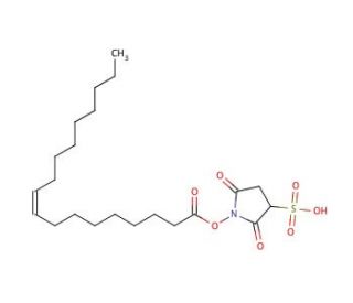 Sulfosuccinimidyl oleate sodium (CAS 135661-44-8) - chemical structure image