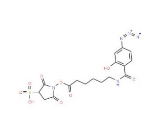 Sulphosuccinimidyl (4-azidosalicylamido)hexanoate - chemical structure image