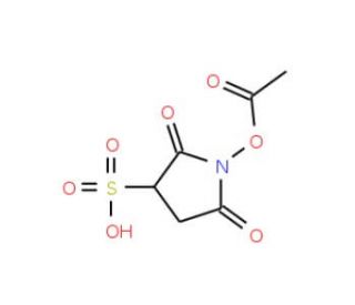 Sulphosuccinimidyl acetate - chemical structure image