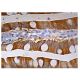 SULT2A1 Antibody (C-5) - Immunohistochemistry - Image 159100