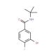 t-Butyl 3-Bromo-4-fluorobenzamide (CAS 1033201-68-1) - chemical structure image