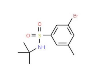 t-Butyl 3-Bromo-5-methylbenzenesulfonamide (CAS 1033201-97-6) - chemical structure image