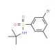 t-Butyl 3-Bromo-5-methylbenzenesulfonamide (CAS 1033201-97-6) - chemical structure image