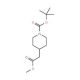 t-Butyl 4-(2-methoxy-2-oxoethyl)piperidine-1-carboxylate (CAS 175213-46-4) - chemical structure image