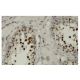 TCF-19 Antibody (F-27) - Immunohistochemistry - Image 36326 
