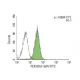 TCR Antibody (H57-597) - Flow Cytometry - Image 143710