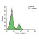 TCR C β 1 Antibody (JOVI.1) - Flow Cytometry - Image 45322