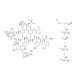 Teicoplanin A2 (Mixture of 2-1, 2-2, 2-3, 2-4 and 2-5) 的分子结构, CAS编号: 91032-26-7 Teicoplanin A2 (Mixture of 2-1, 2-2, 2-3, 2-4 and 2-5) (CAS 91032-26-7) - chemical structure image