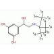 Terbutaline-d9 (CAS 1189658-09-0) - chemical structure image
