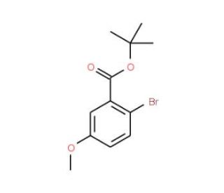 tert-Butyl 2-bromo-5-methoxybenzoate (CAS 957063-12-6) - chemical structure image