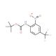 tert-Butyl 2-nitro-4-(trifluoromethyl)phenylcarbamate (CAS 141940-37-6) - chemical structure image