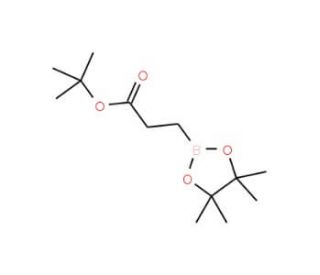 tert-Butyl 3-(4,4,5,5-tetramethyl-[1,3,2]dioxaborolan-2-yl) propionate (CAS 134892-19-6) - chemical structure image