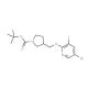 tert-Butyl 3-((5-bromo-3-iodopyridin-2-yloxy)-methyl)pyrrolidine-1-carboxylate (CAS 1186311-10-3) - chemical structure image