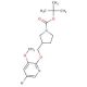 tert-Butyl 3-((5-bromo-3-methoxypyridin-2-yloxy)-methyl)pyrrolidine-1-carboxylate - chemical structure image