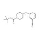 tert-Butyl 4-[(4-cyano-2-pyridinyl)oxy]tetrahydro-1(2H)-pyridinecarboxylate (CAS 1065484-24-3) - chemical structure image