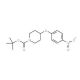tert-Butyl 4-(4-nitrophenoxy)piperidine-1-carboxylate (CAS 138227-62-0) - chemical structure image