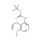 tert-Butyl 4-allyl-5-methoxypyridin-3-ylcarbamate (CAS 1045859-16-2) - chemical structure image