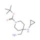 tert-butyl 4-(aminomethyl)-4-(cyclopropylamino)piperidine-1-carboxylate - chemical structure image