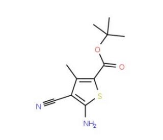 tert-butyl 5-amino-4-cyano-3-methylthiophene-2-carboxylate - chemical structure image