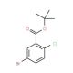 tert-Butyl 5-bromo-2-chlorobenzoate (CAS 503555-23-5) - chemical structure image