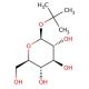 tert-Butyl b-D-glucopyranoside (CAS 29074-04-2) - chemical structure image