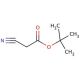 tert-Butyl cyanoacetate (CAS 1116-98-9) - chemical structure image