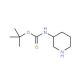 tert-butyl N-(piperidin-3-yl)carbamate (CAS 172603-05-3) - chemical structure image