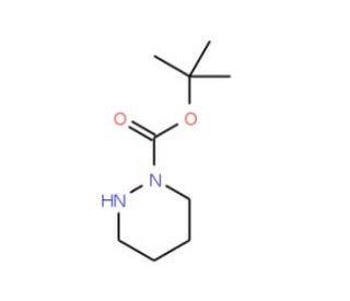 tert-Butyl tetrahydro-1(2H)-pyridazinecarboxylate (CAS 154972-37-9) - chemical structure image