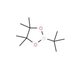 tert-Butylboronic acid pinacol ester (CAS 99810-76-1) - chemical structure image