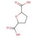 Tetrahydrofuran-2,5-dicarboxylic Acid (CAS 2240-81-5) - chemical structure image