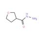 Tetrahydrofuran-3-carboxylic acid hydrazide (CAS 59293-32-2) - chemical structure image
