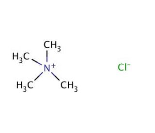 Tetramethylammonium chloride (CAS 75-57-0) - chemical structure image