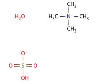 Tetramethylammonium hydrogensulfate hydrate (CAS 207738-07-6) - chemical structure image