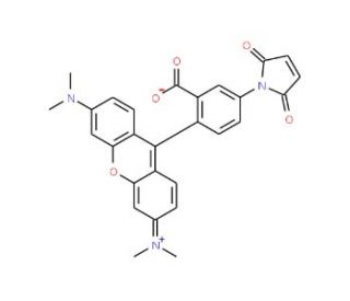 Tetramethylrhodamine-6-maleimide (CAS 174568-68-4) - chemical structure image 