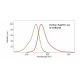 Graph showing the excitation and emission spectra of Tetramethylrhodamine-6-maleimide: sc-215962. 