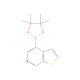 Thieno[2,3-c]pyridine-4-boronic acid, pinacol ester (CAS 2230209-53-5) - chemical structure image