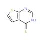 Thieno[2,3-d]pyrimidine-4-thiol (CAS 14080-55-8) - chemical structure image