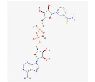 Thionicotinamide adenine dinucleotide (CAS 4090-29-3) - chemical structure image