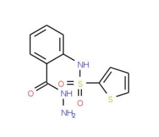 Thiophene-2-sulfonic acid (2-hydrazinocarbonyl-phenyl)-amide - chemical structure image