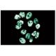 TIF1β Antibody (23) - Immunofluorescence - Image 60706