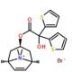 Tiotropium Bromide Monohydrate Impurity C (CAS 136310-95-7) - chemical structure image
