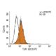 TLR1 Antibody (GD2) - Flow Cytometry - Image 11484