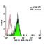 TNF-R1 Antibody (55R-170) - Flow Cytometry - Image 5948 
