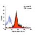 TNF-R1 Antibody (55R-170) - Flow Cytometry - Image 5949