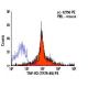 TNF-R2 Antibody (TR75-89) - Flow Cytometry - Image 5950