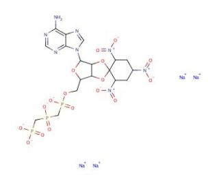 TNP-ATP tetrasodium salt solution (CAS 61368-63-6) - chemical structure image